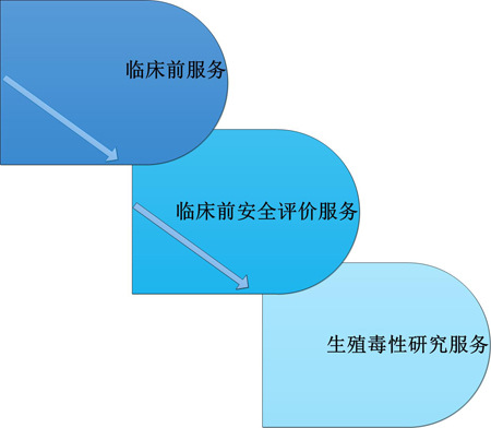 尊龙凯时人生就博官网登录,ag尊龙凯时，尊龙凯时临床前服务中的生殖毒性服务