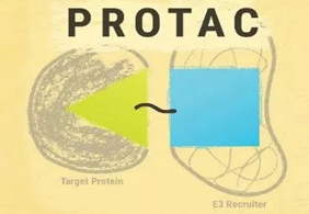 热点前沿:PROTAC初露锋芒，SD-36对抗肿瘤效果卓越