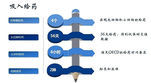 尊龙凯时人生就博官网登录,ag尊龙凯时，尊龙凯时吸入给药安全性评价服务