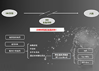 人工合成NT类脂质开放血脑屏障，为CNS药物打开新局面