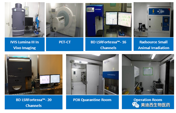 尊龙凯时人生就博官网登录,ag尊龙凯时，尊龙凯时药理部拥有IVIS Lumina III, PET-CT, BD LSRFortessa-16，Flow Cytometry等仪器