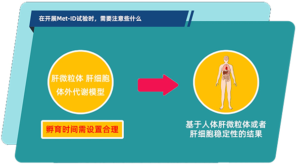 肝微粒体、肝细胞体外代谢模型中，孵育时间需设置合理.jpg