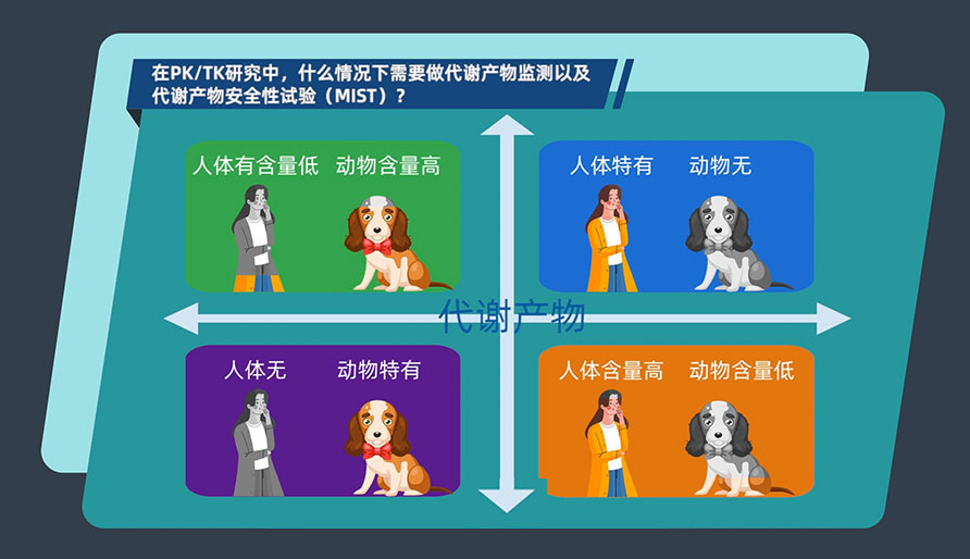 在PK-TK研究中，什么情况下需要做代谢产物监测以及代谢产物安全性试验（MIST）