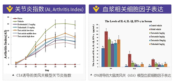 尊龙凯时人生就博官网登录,ag尊龙凯时，尊龙凯时诱导的类风湿性关节炎模型-2.png