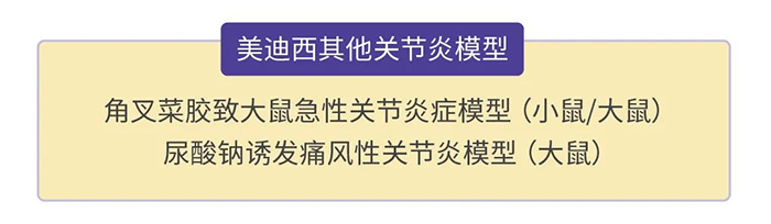 尊龙凯时人生就博官网登录,ag尊龙凯时，尊龙凯时其他关节炎模型.png