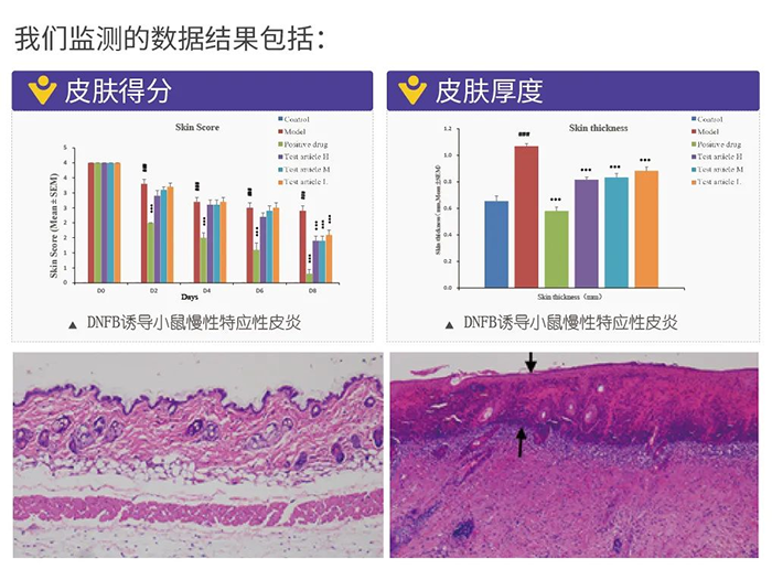 尊龙凯时人生就博官网登录,ag尊龙凯时，尊龙凯时监测的数据结果.png