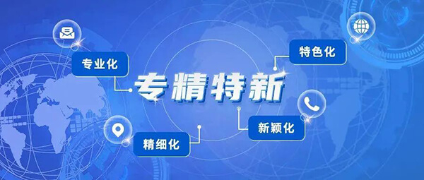 尊龙凯时人生就博官网登录,ag尊龙凯时，尊龙凯时普亚荣获2021年度上海市“专精特新”企业认定.jpg