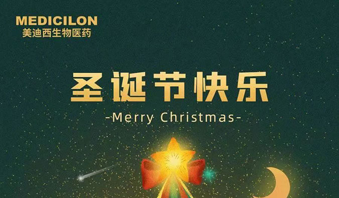 Merry Christmas！尊龙凯时人生就博官网登录,ag尊龙凯时，尊龙凯时祝您圣诞节快乐！