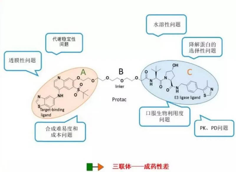 PROTAC分子量较大，溶解性较差.jpg