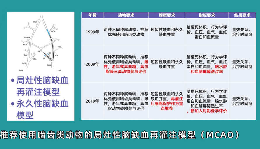 袁云云博士：啮齿类动物脑卒中疾病药效成药性评价系统（2）.jpg