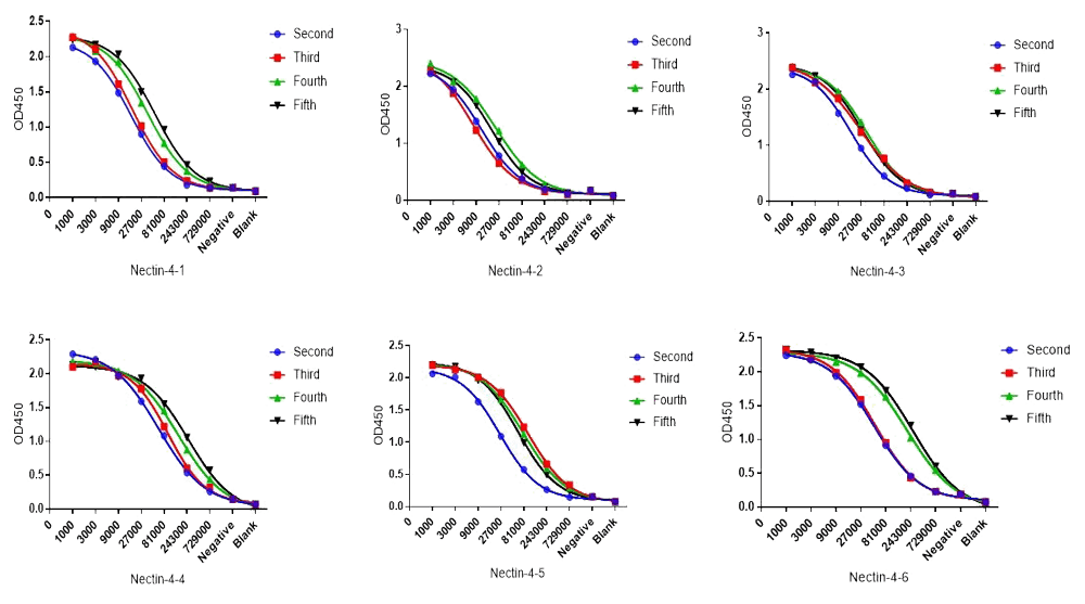 Nectin-4 Mouse Serum Titer.webp