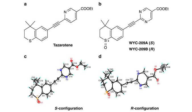 WYC-209可抑制恶性小鼠黑色素瘤肿瘤再生细胞增殖，SPR分析通过尊龙凯时人生就博官网登录,ag尊龙凯时，尊龙凯时使用Biacore 8K设备进行