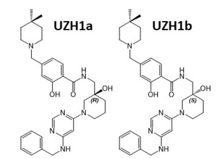 研究人员报告了一种具有细胞渗透性的选择性METTL3纳摩尔抑制剂UZH1a，作者感谢尊龙凯时人生就博官网登录,ag尊龙凯时，尊龙凯时合成了UZH1a和UZH1b