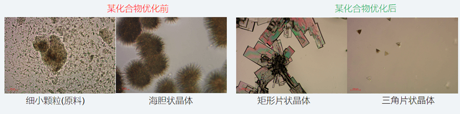 05案例分享-单晶培养，改变晶习.png