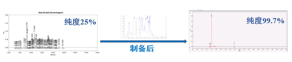 案例一：仿制药发补：大极性杂质制备.jpg