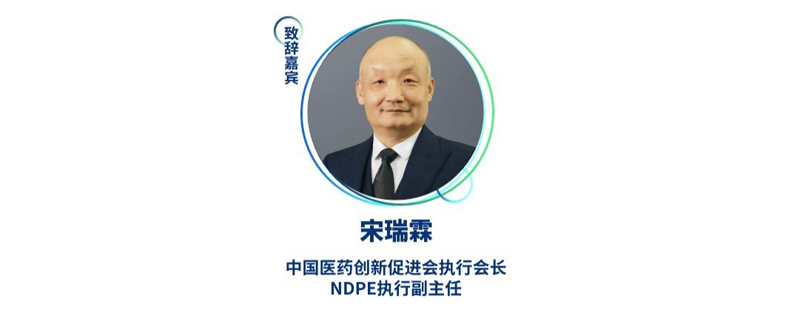 宋瑞霖--中国医药创新促进会执行会长、NDPE执行副主任.jpg