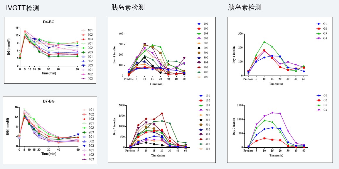 案例4：食蟹猴IVGTT和胰岛素检测实验.jpg